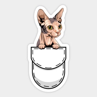 Funny Sphynx Pocket Cat Sticker